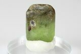 Olivine Peridot Crystal with Ludwigite Inclusions - Pakistan #185246-1